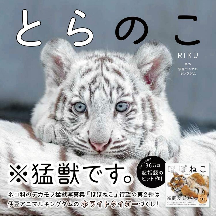 どらどら様 ブルゾン オフ白 img_7f891acbf4c6c97e294cc6833f