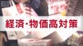 「経済・物価高対策」　主要各党の公約　【衆院選2026】