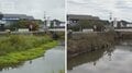 豪雨で“消えた最悪侵略生物”どこに?