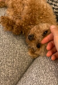 里田まい『えーっと。。。』