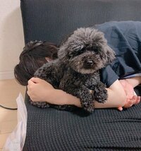 日菜あこ『学校を「休みたい」と言う娘』