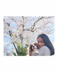 武井咲、愛犬とのお花見ショット披露 「可愛いすぎ！」「美しくて眼福です」と話題