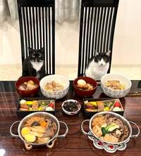 藤あや子『昨日の晩ごはん』