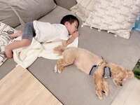 辻希美『模様替え♡』