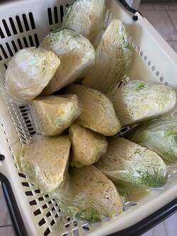  ラミレスの妻、スーパーで買い占めた品「とにかく切って切って混ぜて混ぜて」 