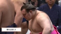 新大関・安青錦、“インパクト絶大”な化粧まわしに驚きの声「ショッキングピンク」