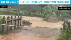 猛烈な濁流が橋を押し流す瞬間…さらに洪水で養殖場から“900匹のコブラ”が脱走し噛まれる被害も相次ぐ事態に 中国