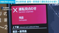 東北新幹線 盛岡～新青森で運転見合わせ続く