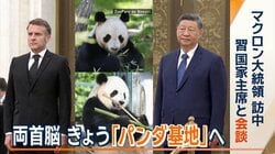 マクロン仏大統領が訪中　パンダ外交で中国と関係強化　フランスと協力延長