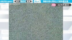 「どこいった？w」海底の砂と同化する魚に「動いたらわかる。止まった瞬間わからないw」「完全に光学迷彩だ」と反響