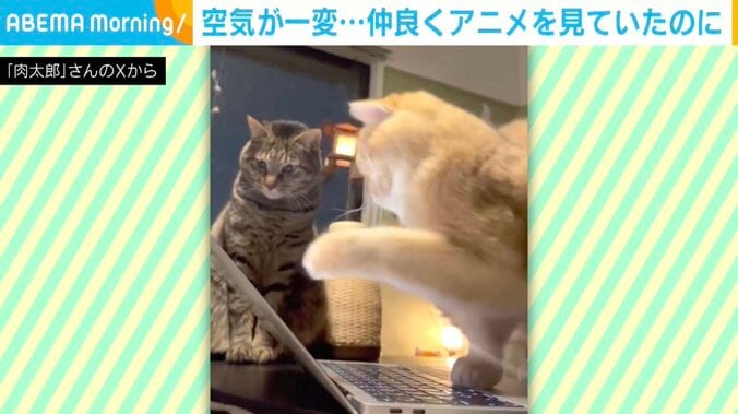 肉太郎くんとムギちゃん