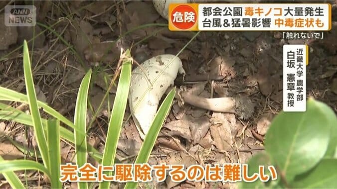 「どこに隠れているか分かりません」