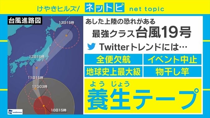 台風対策で売り切れ続出の「養生テープ」 その効果を専門家が解説 1枚目