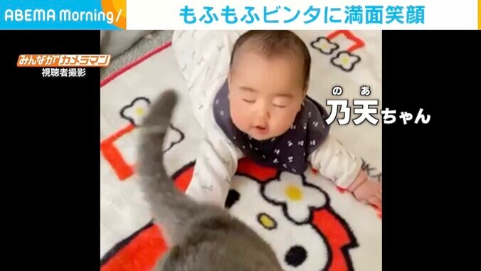 ペシペシ… 猫に“もふもふビンタ”された赤ちゃん ビックリ→満面の笑みで視聴者ほっこり 1枚目
