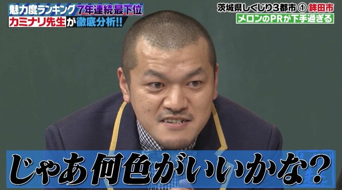 「しくじり先生」生産量1位なのに…メロン紹介動画にツッコミ殺到！ 茨城県人は都会への憧れが強い？ 1枚目