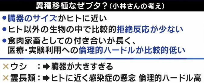 ひろゆき専用臓器も可能に？ 10年後には実現か ブタ→人間の異種移植 5枚目