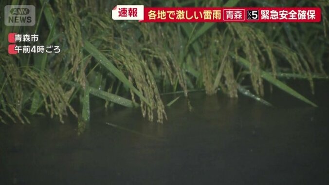 田んぼの水位は道路と変わらない高さに
