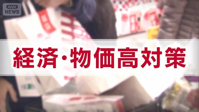 「経済・物価高対策」　主要各党の公約　【衆院選2026】 1枚目