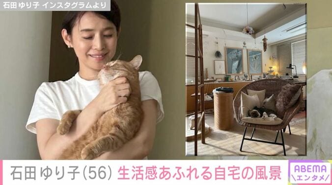 石田ゆり子と自宅