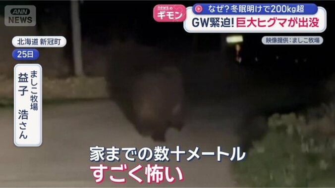 「肥えているように見える」