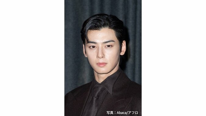 「顔天才」チャ・ウヌ 韓国芸能史上最大の約21億円”脱税疑惑”が明らかに 1枚目