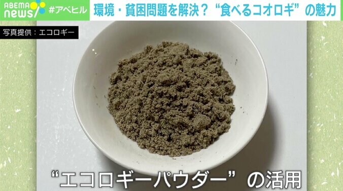 「どうしてもゲテモノの扱い、罰ゲームなどの要素が強かった」 “食べるコオロギ”の魅力、環境・貧困・食糧問題の解決へ 2枚目