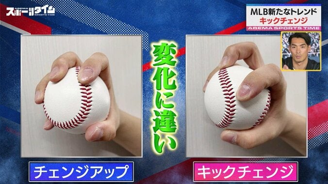 【写真・画像】　2枚目