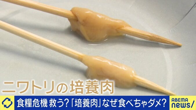 ニワトリの培養肉