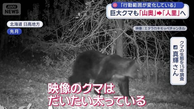 人里近くに出没するヒグマは…