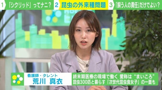 誰かが水路に放した? アフリカ“熱帯魚”が住宅街で大量発生…外来種問題に専門家警鐘 4枚目