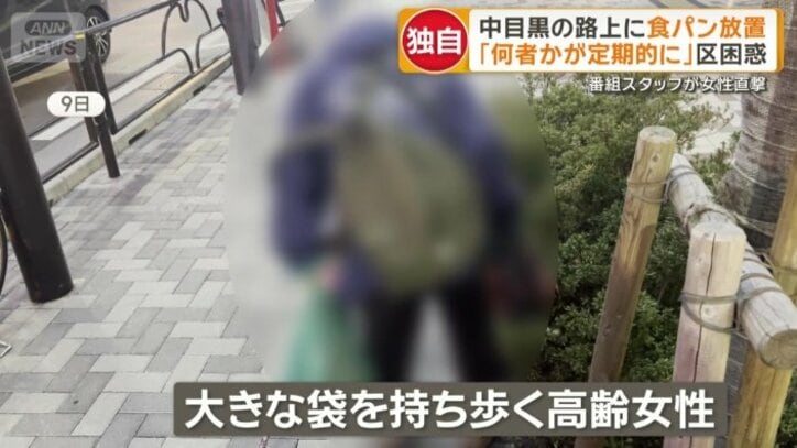 大きな袋を持ち歩く高齢女性