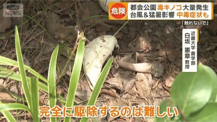 「どこに隠れているか分かりません」