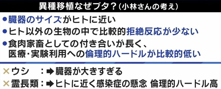ひろゆき専用臓器も可能に? 10年後には実現か ブタ→人間の異種移植