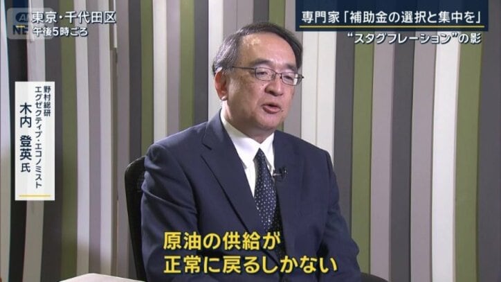 野村総研エグゼクティブ・エコノミスト　木内登英氏