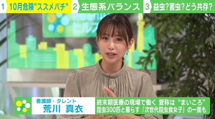 スズメバチは10月が最も凶暴に? “100回以上刺された”専門家が明かす遭遇時&刺された時の対処法