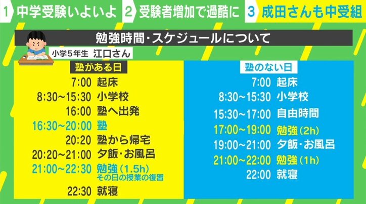 最大58％オフ！ ピグマリオン 赤ちゃんから中学受験まで real-estate