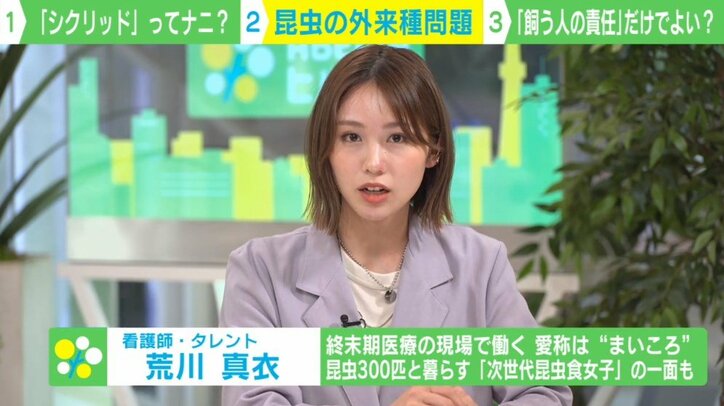 誰かが水路に放した? アフリカ“熱帯魚”が住宅街で大量発生…外来種問題に専門家警鐘