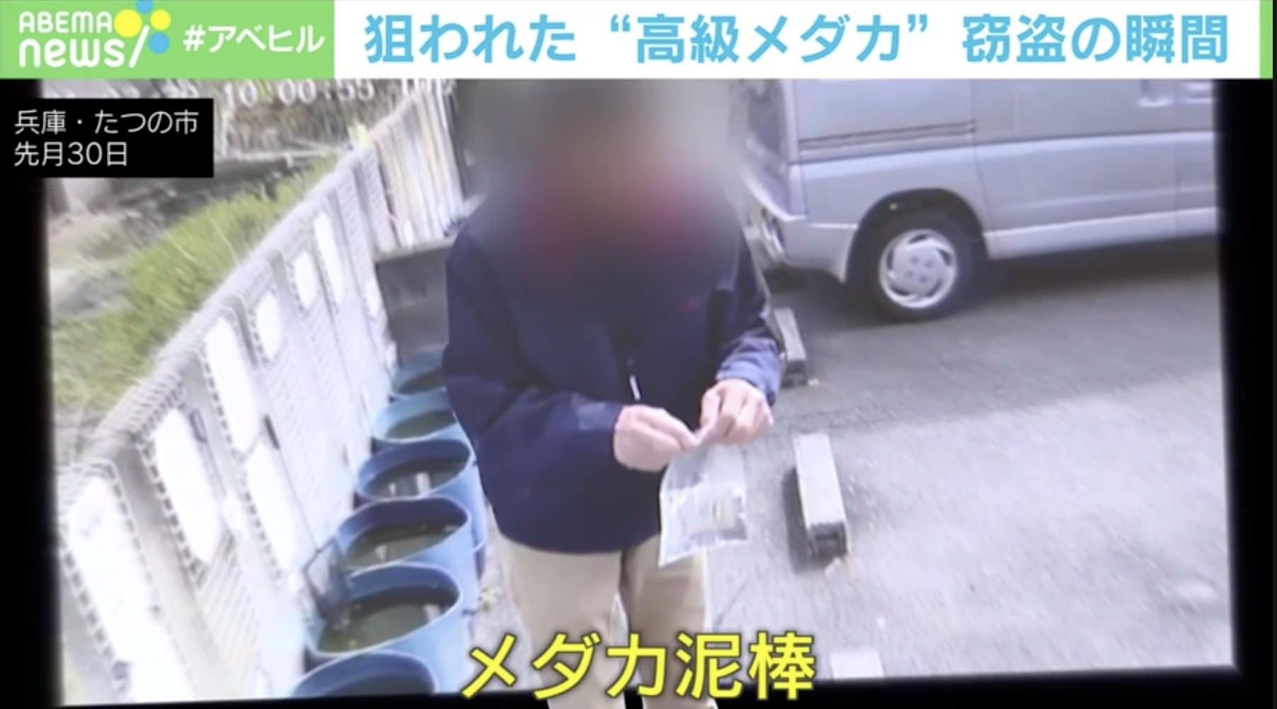 高級メダカをすくって持ち去り 無人販売所で窃盗の男逮捕 兵庫県 国内 Abema Times