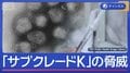 インフル猛威 新変異株「サブクレードK」の脅威