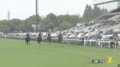「プボ可愛い」雨の京都に“大人気誘導馬”登場…変わらぬ姿にファンほっこり「たてがみがオシャレ」