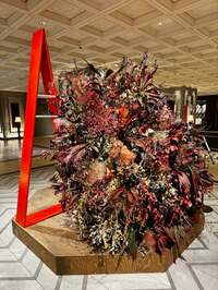 早坂まき子『帯状疱疹までの軌跡』