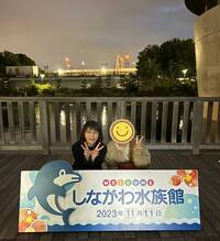 田中美佐子『2023/11/13』