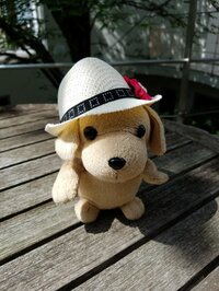 梅沢富美男『あれっくすでーす』