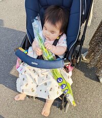 たんぽぽ白鳥久美子『こどもの日』