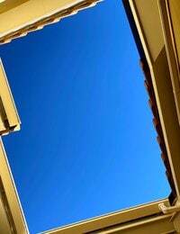 ブル中野『気分爽快☀️』