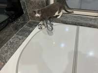 坂上忍『おっは～』