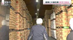 「赤字で販売」ついにコメ価格下落も…“3月値上げ”にイラン情勢が追い打ち