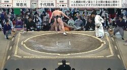 「軽い事故やん」力士が土俵下の行司に飛び込むハプニングに元若乃花も「大丈夫ですかね？」