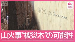 岩手・大船渡の山火事から1年　黒焦げの“被害木”課題に【SDGs】