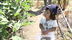 遭遇率2％以下!? “幸せを呼ぶ黄色い虫”を大捜索 3歳児の純粋な行動に専門家「地獄や…」と絶句